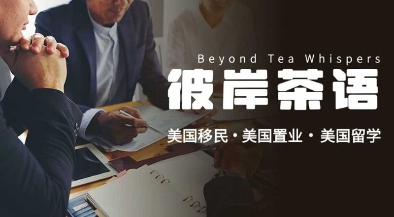 Tea Talk on the Other Shore: Exploring Opportunities and Challenges in the US